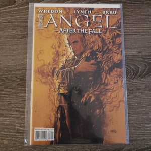 Angel: After the Fall,  Issue #2A