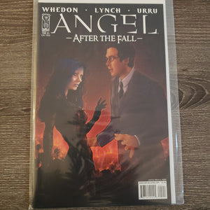 Angel: After the Fall,  Issue #5B