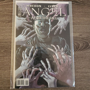 Angel: After the Fall,  Issue #8C