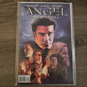 Angel: After the Fall,  Issue #14B