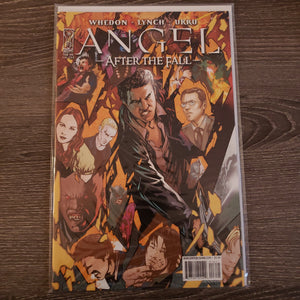 Angel: After the Fall,  Issue #16B