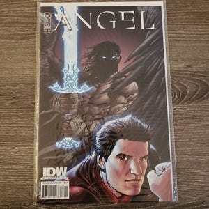 Angel: After the Fall,  Issue #22