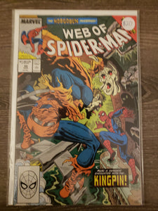 Web of Spider-Man, Vol. 1,  Issue #48A