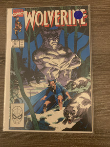 Wolverine, Vol. 2,  Issue #25A