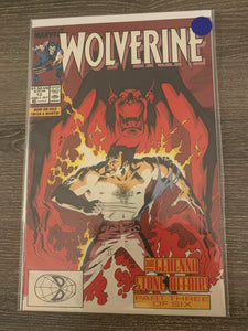 Wolverine, Vol. 2,  Issue #13A