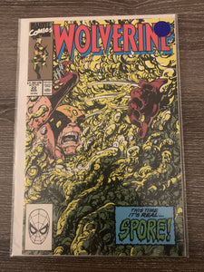 Wolverine, Vol. 2,  Issue #22A